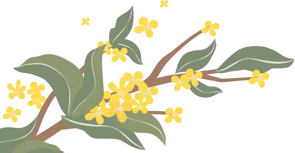 Decoration sticker