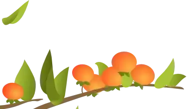 Decoration sticker